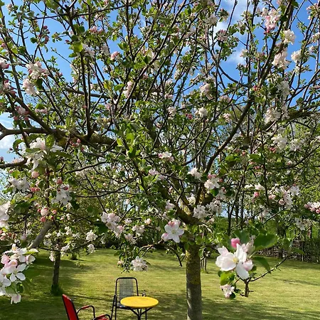 ´t Hof Kessel Bed & Breakfast 3*