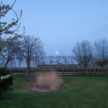 凯塞尔特霍夫住宿加早餐旅馆 住宿加早餐酒店 马伦-凯塞尔