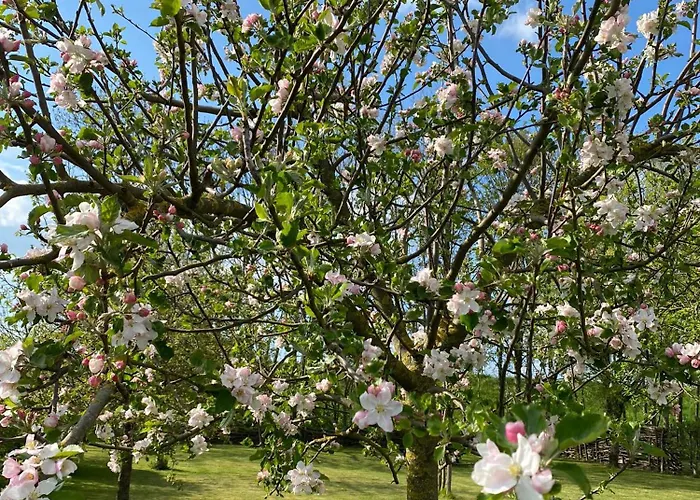 't Hof Kessel Bed & Breakfast 3*