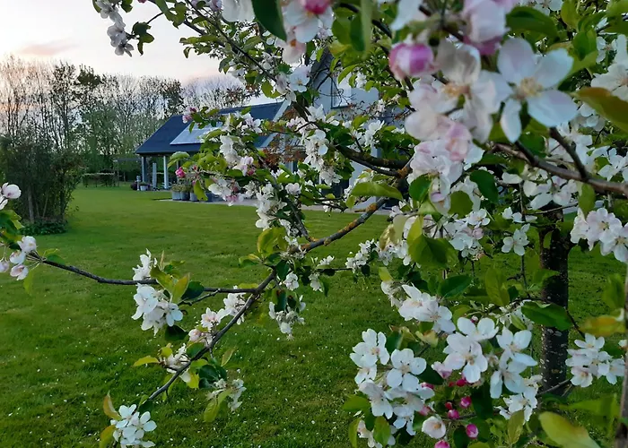 Bed & Breakfast 't Hof Kessel 3*