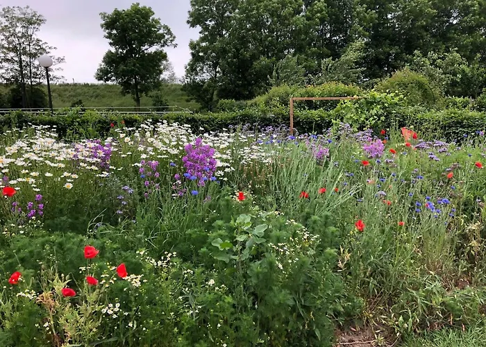 Bed & Breakfast 't Hof Kessel