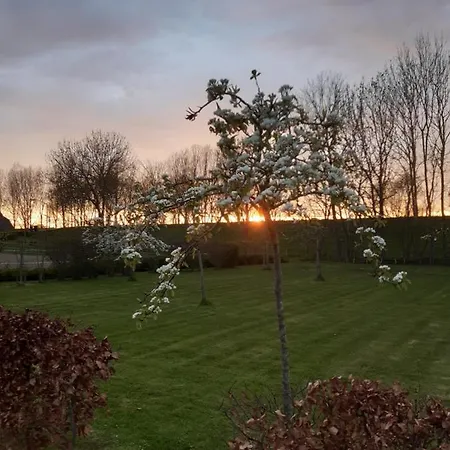 Bed & Breakfast ´t Hof Kessel 3*